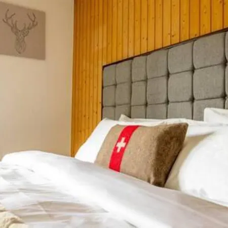 Alpine Apartment-davos * Davos